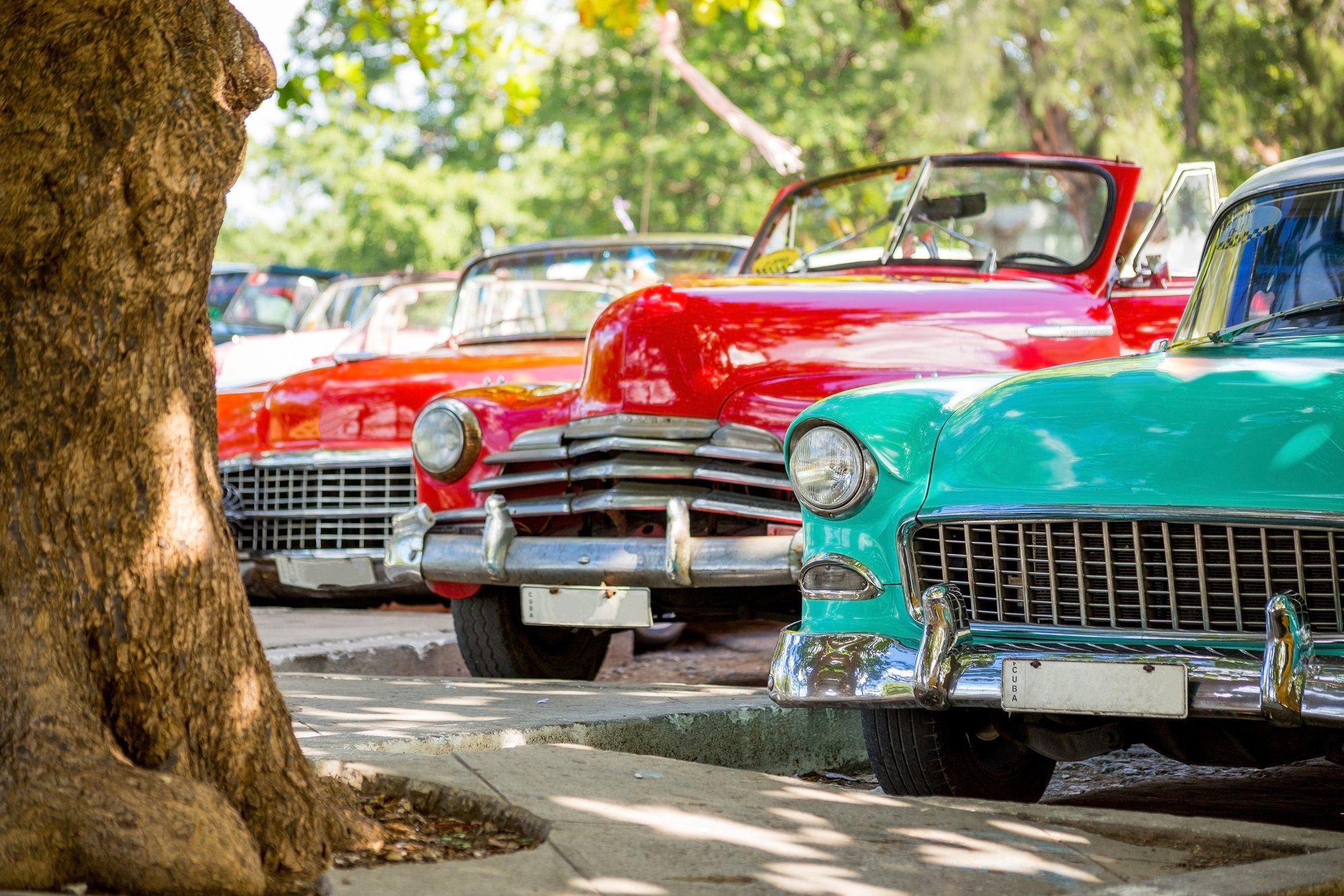 AdobeStock_223488064-2