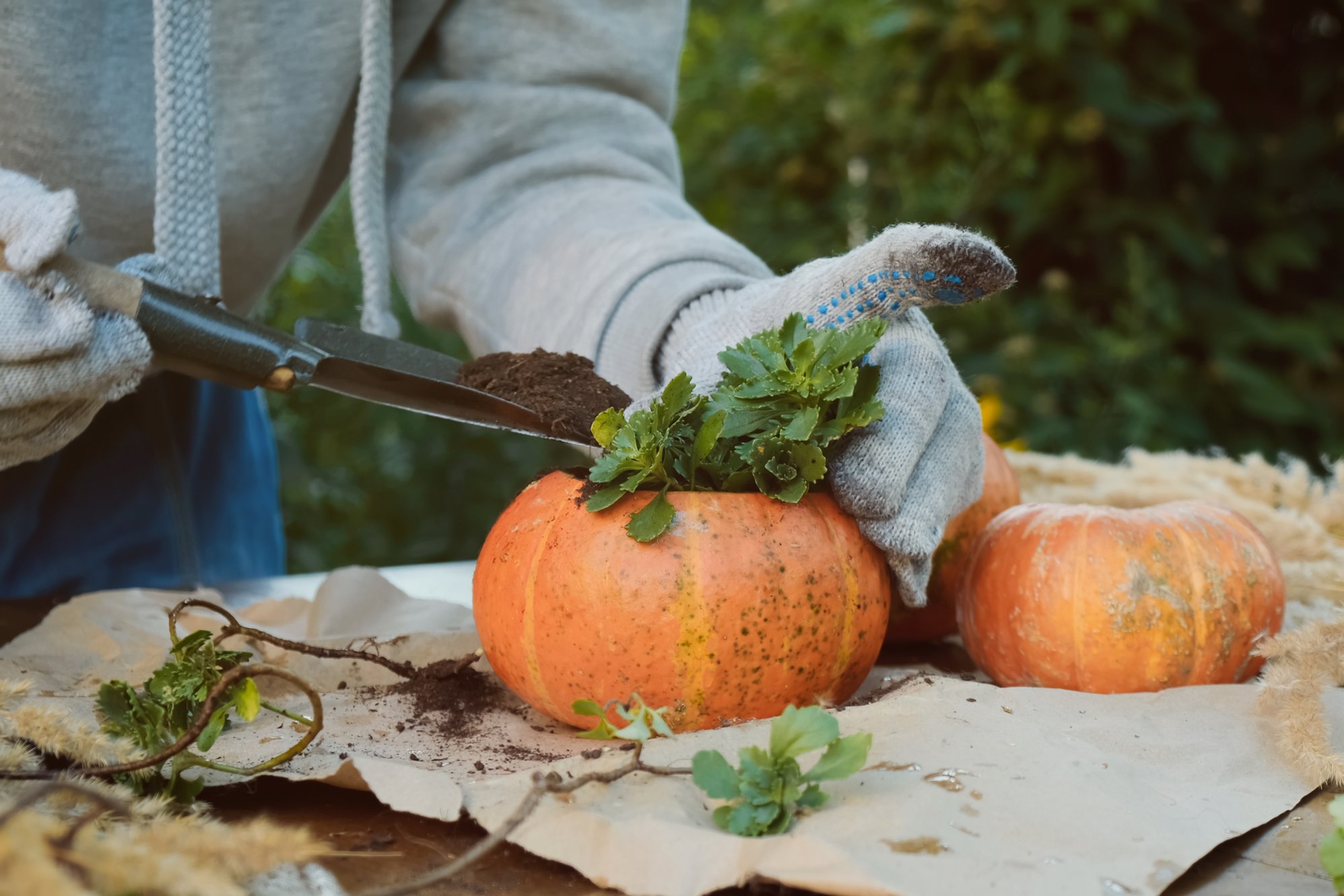 AdobeStock_526916064